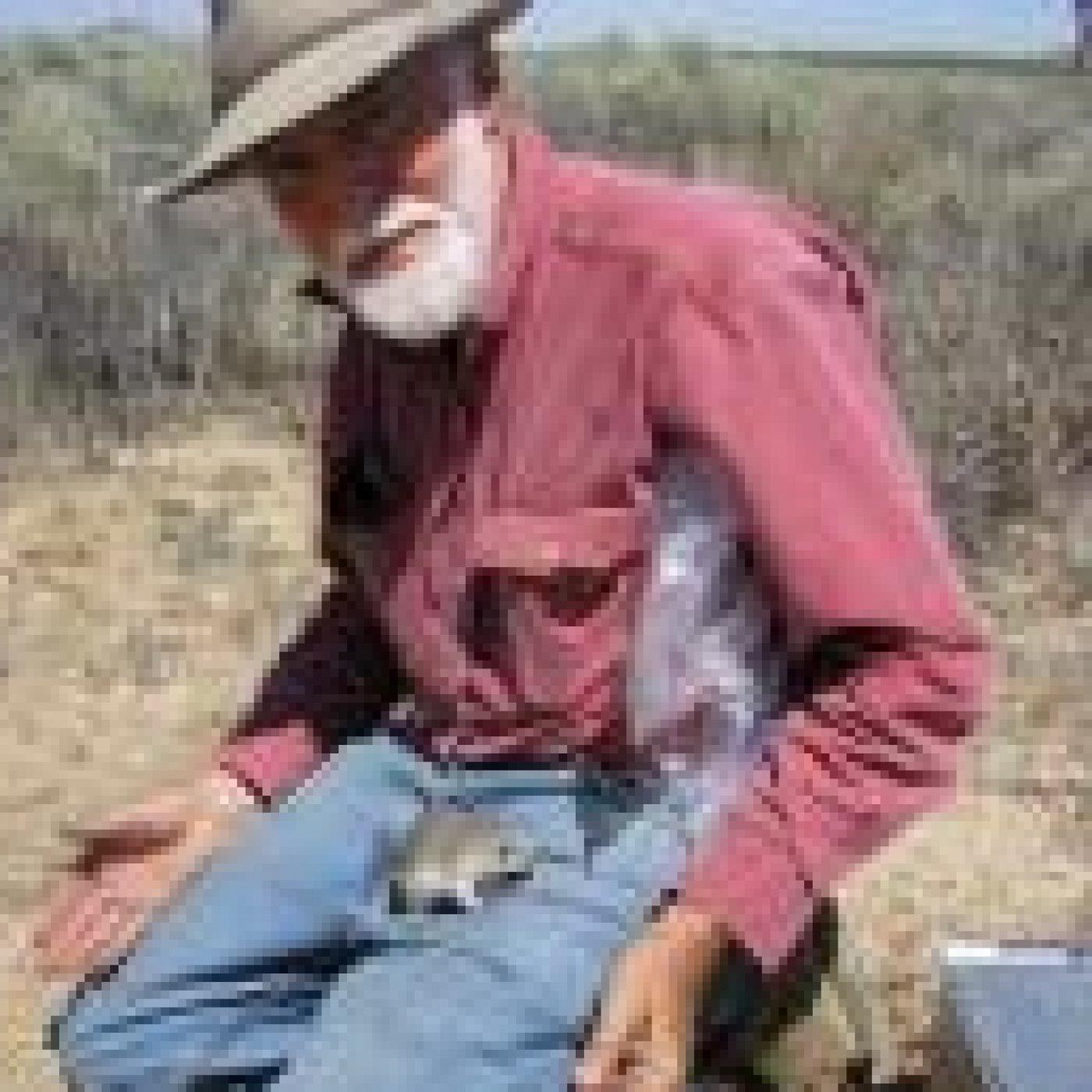 Profile photo of Philip Leitner, Emeritus