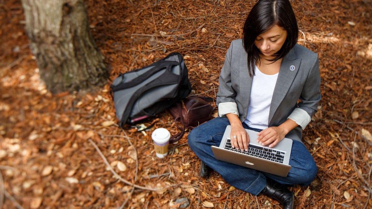 A student writes in the redwood grove.